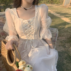 Korean Elegant Dress