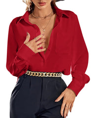 Button Down Long Sleeve Chiffon Work Blouse