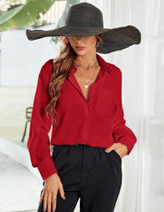 Button Down Long Sleeve Chiffon Work Blouse