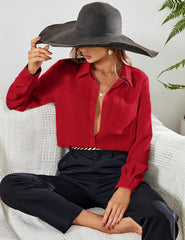 Button Down Long Sleeve Chiffon Work Blouse