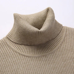 Asher - Pullover Turtle Neck Sweater