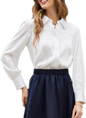 Satin Silk Formal Blouse