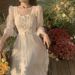 Korean Elegant Dress