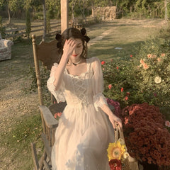 Korean Elegant Dress