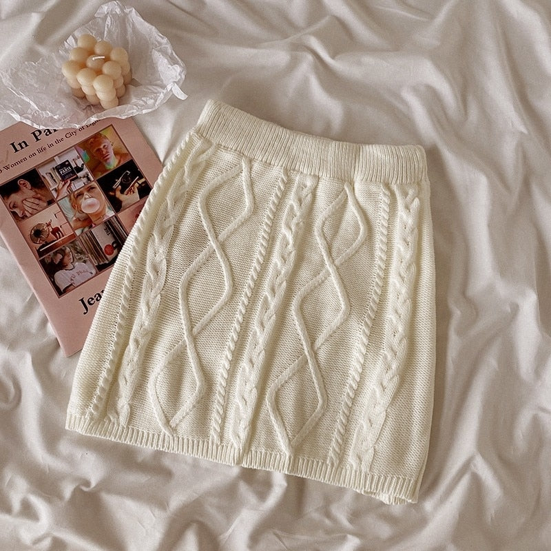 Sweet Rabbit Embroidery Skirt & Sweater Set