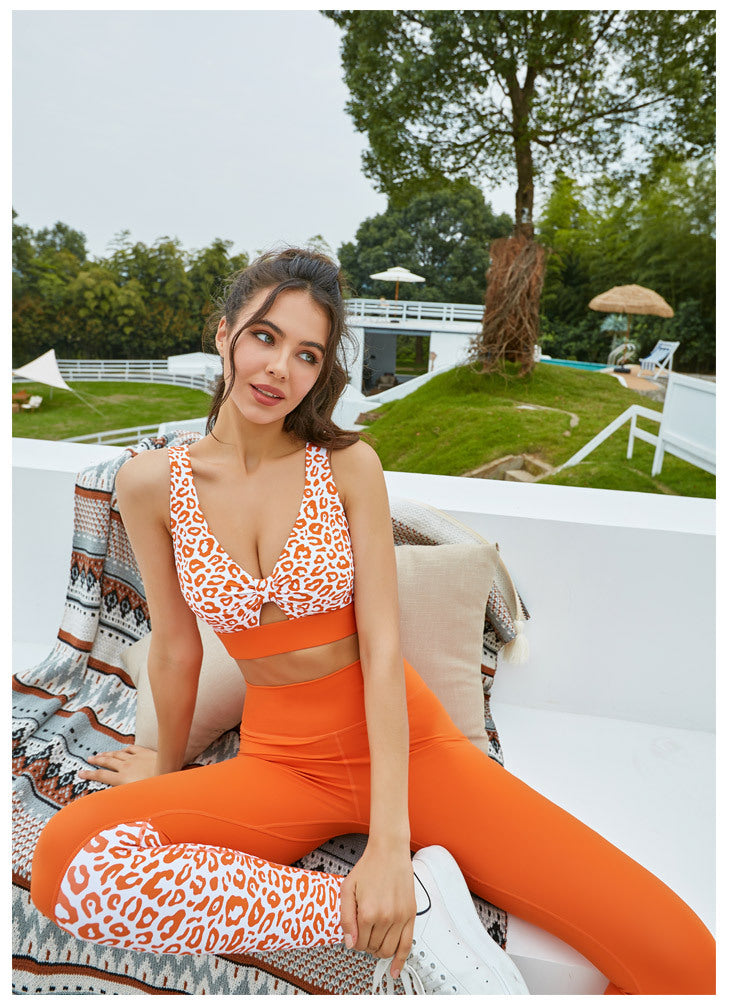 2 Piece Leopard Print Women's Sports & Yoga Set