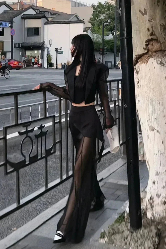 Gothic Mesh Outfit Set - Top & Pants