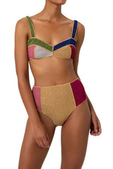 Multicoloured Shimmer Color-Block Velvet High Waisted Bikini Bottom